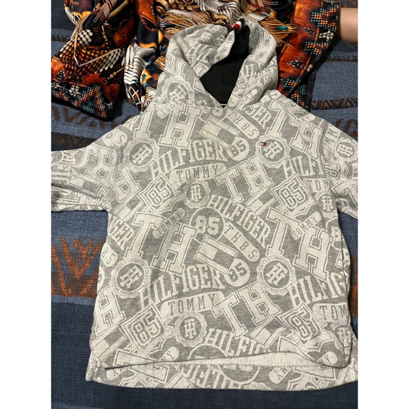Boys Tommy Hilfiger Hoodie Size 2T Gray - Picture 1 of 3
